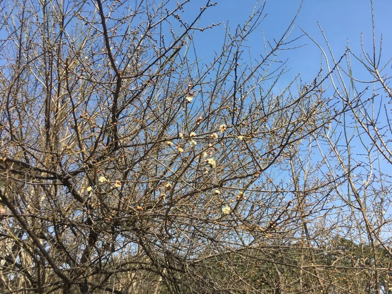 IMG_3096.JPG?type=w773