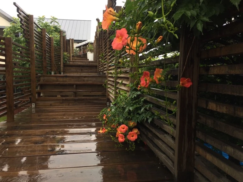 P20180709_180001983_9C2E3469-42A0-4D28-9479-79C12ACE93D7.JPG?type=w773