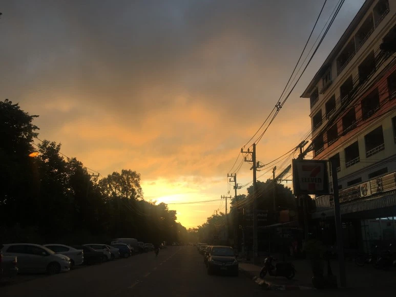 IMG_7510.JPG?type=w773