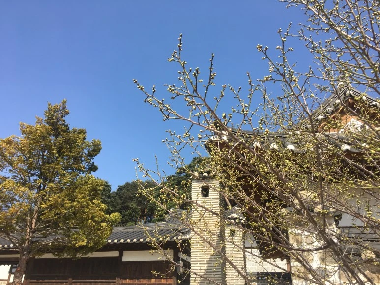 IMG_3009.JPG?type=w773