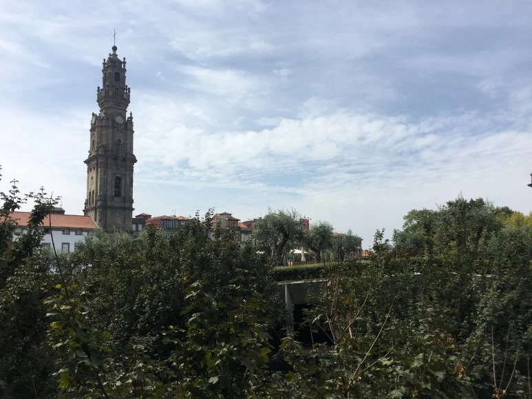 IMG_0355.JPG?type=w773