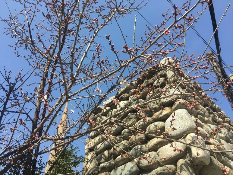 IMG_2989.JPG?type=w773