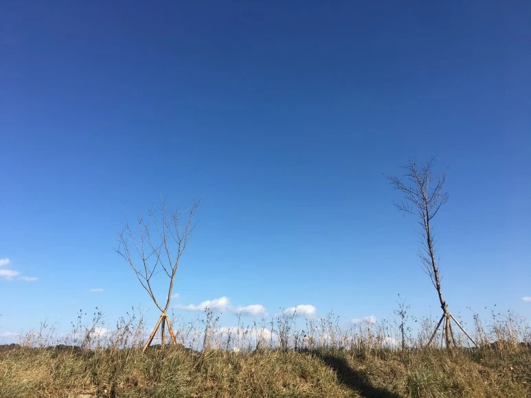 IMG_0542.JPG?type=w773