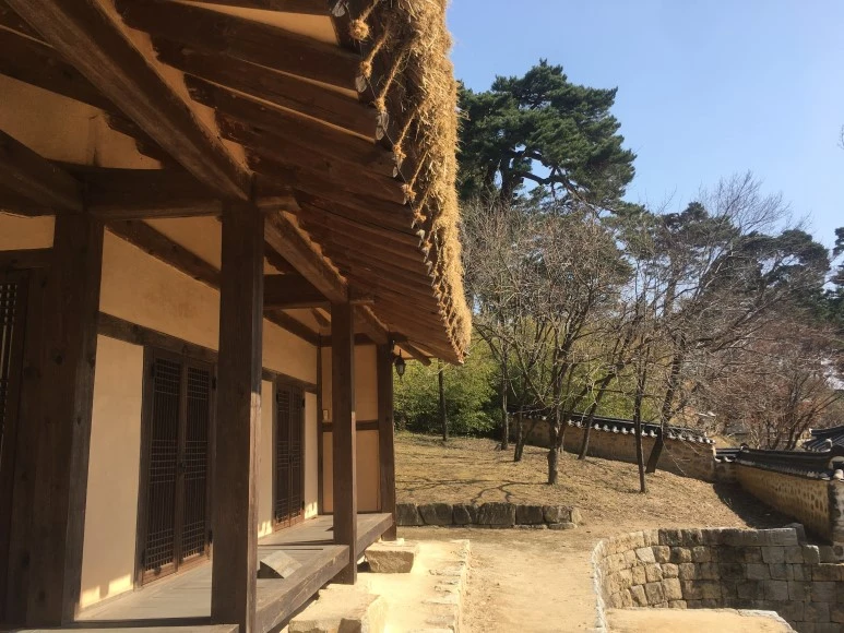 IMG_3044.JPG?type=w773