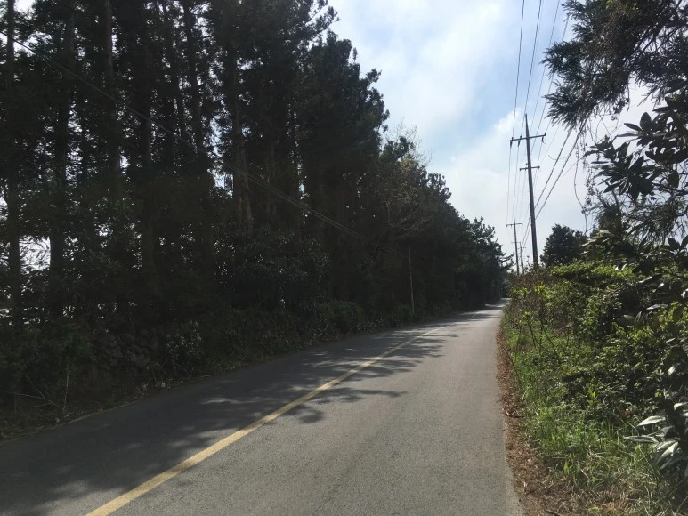 IMG_4346.JPG?type=w773