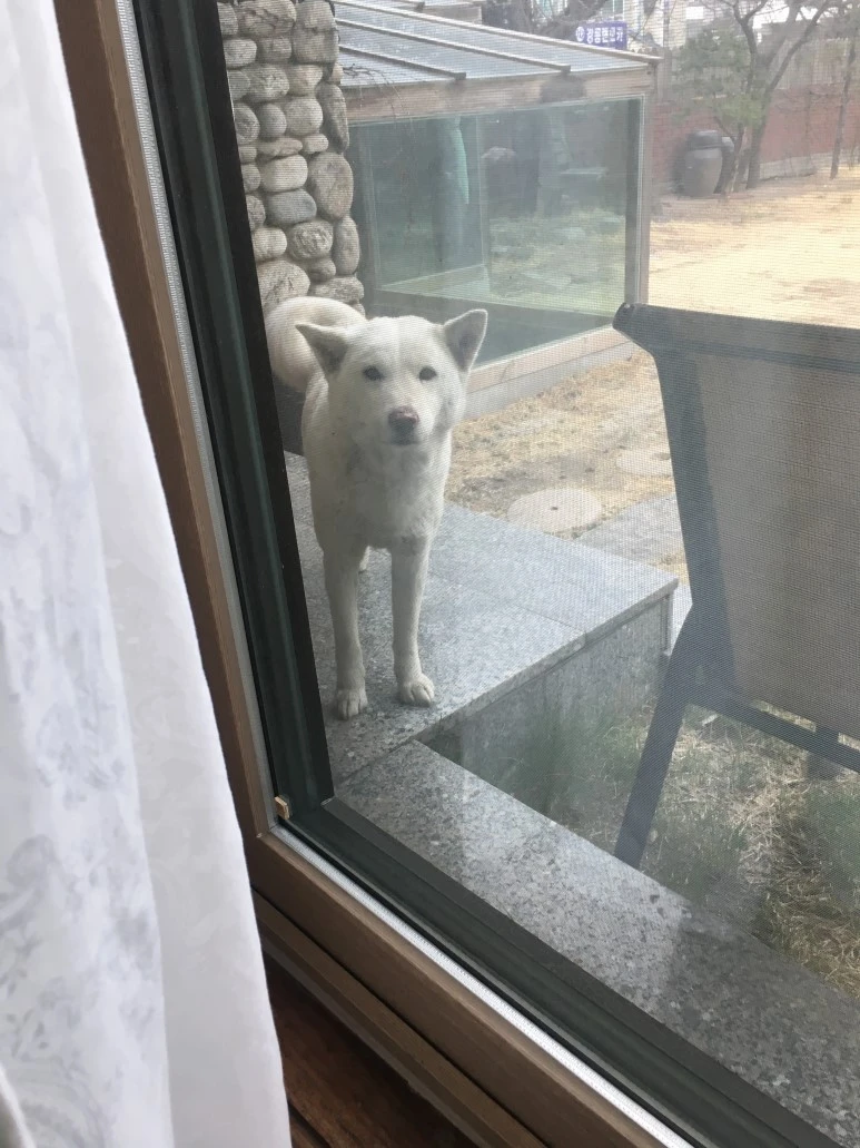 IMG_3227.JPG?type=w773