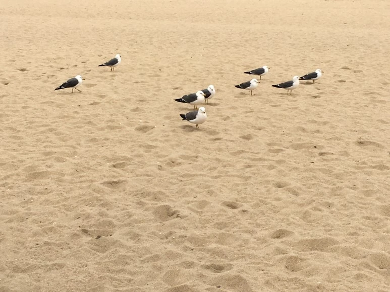 IMG_2363.JPG?type=w773