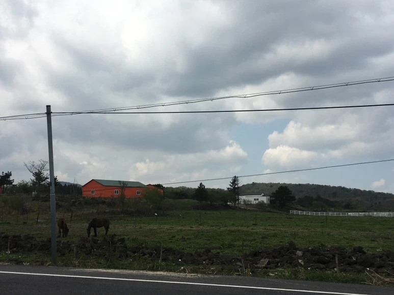 IMG_4304.JPG?type=w773