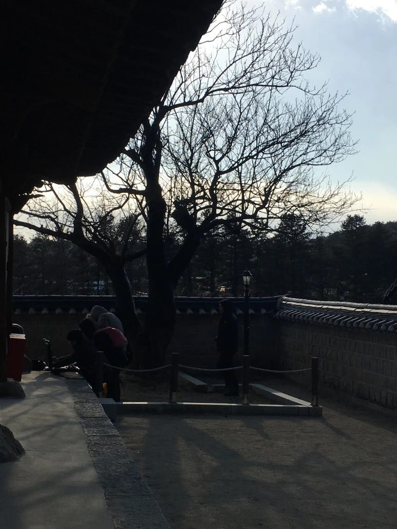 IMG_0561.JPG?type=w773