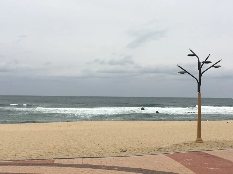 IMG_2370.JPG?type=w773