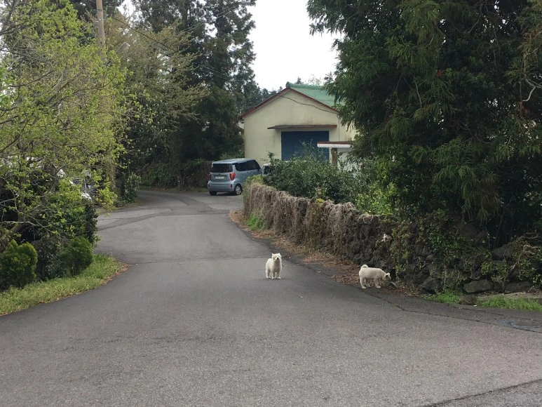 IMG_4414.JPG?type=w773