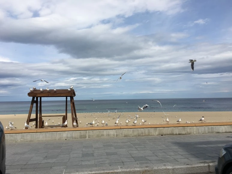 IMG_3264.JPG?type=w773