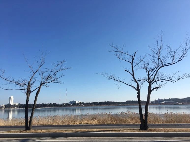 P20180111_134640215_A1C134AB-06A4-497F-B843-5C2A9EE0FB2A.JPG?type=w773