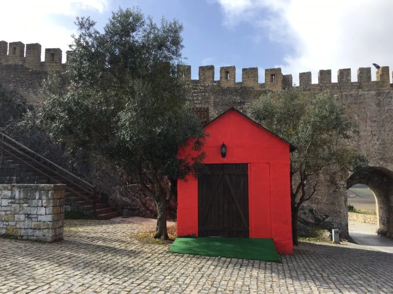 P20190201_124550178_CE119EB8-312B-45BF-9B5E-D959376B8E63.JPG?type=w773