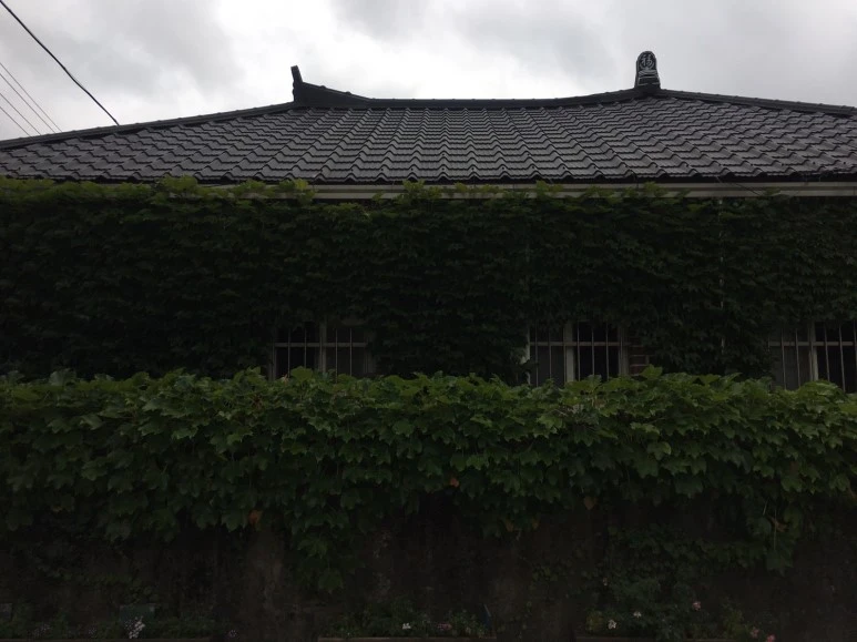 P20180729_153504650_1A1FD2D3-997A-4923-85D3-F25F9CD029FA.JPG?type=w773