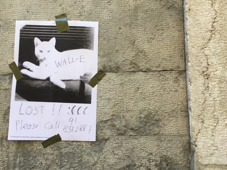 IMG_1041.JPG?type=w773