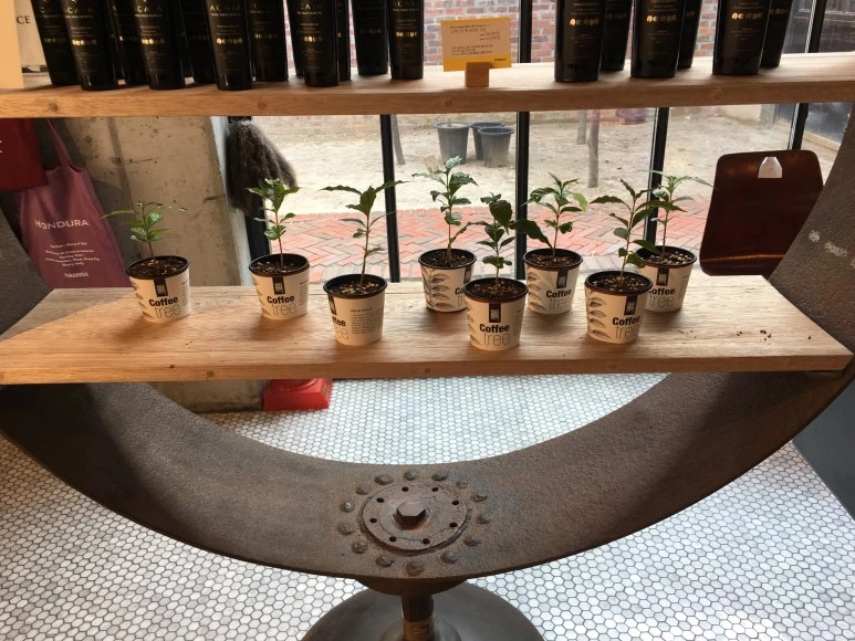 IMG_2790.JPG?type=w773