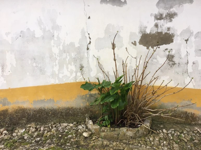 P20190201_115621802_CF9342C6-EAC3-4066-BF09-C82BD28018B0.JPG?type=w773