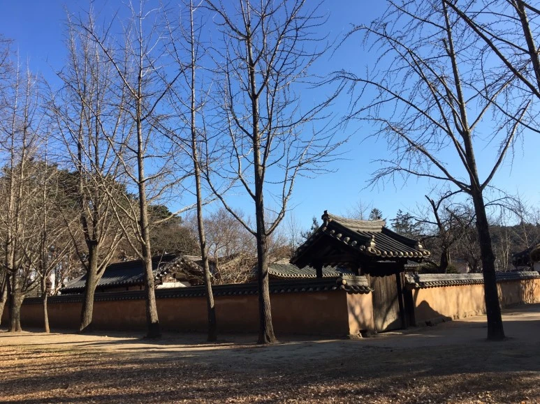 P20180111_143316077_6596348C-FCFC-4626-90D0-D3C135CB851A.JPG?type=w773