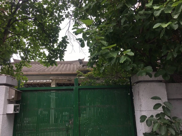 P20180729_152917372_1831E1BE-7269-40AB-BC6C-E6AB9794F518.JPG?type=w773