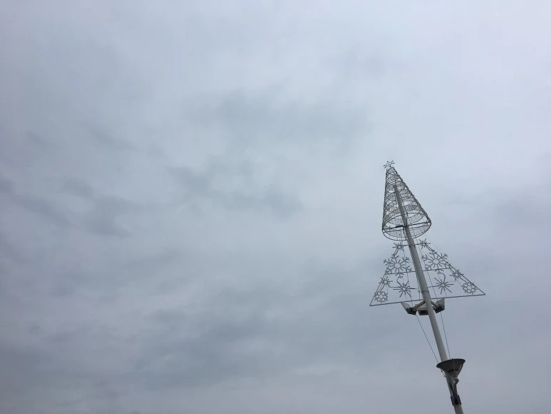 IMG_2342.JPG?type=w773