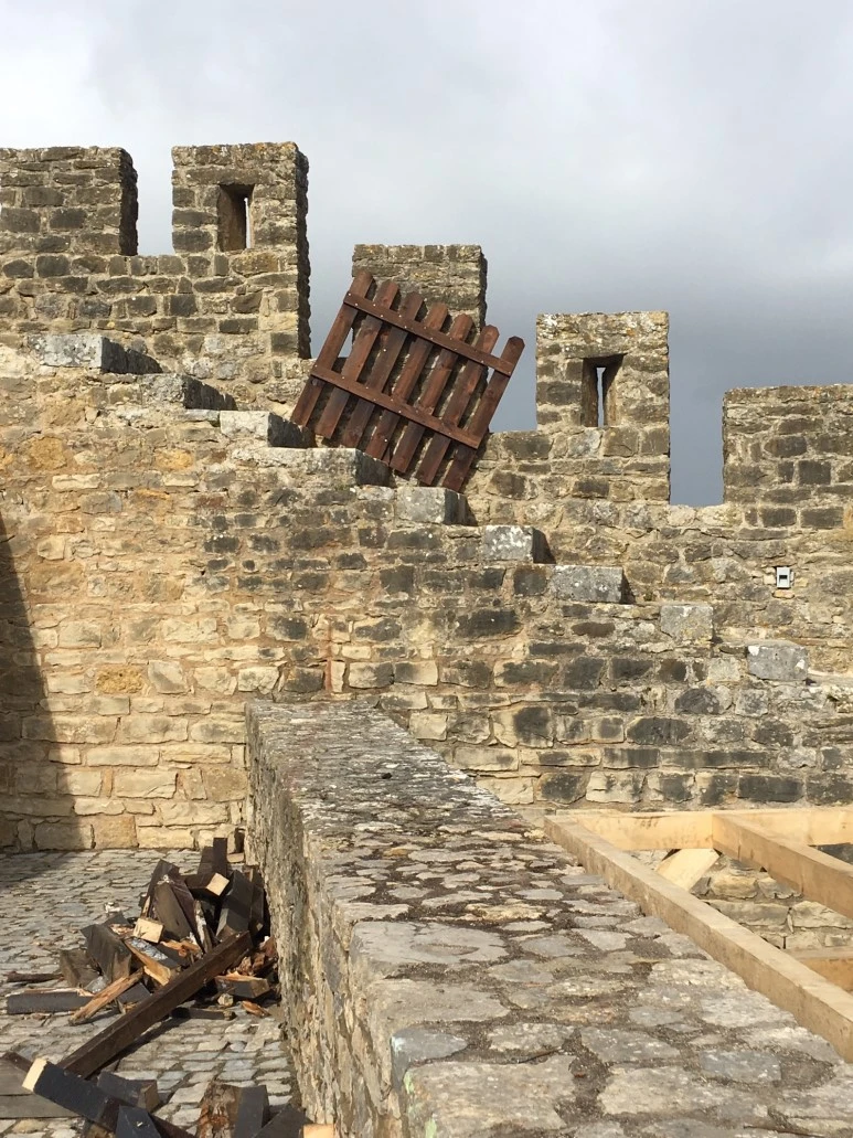 P20190201_124541705_4D4A9319-7050-4689-81D6-64E4B7E30C35.JPG?type=w773