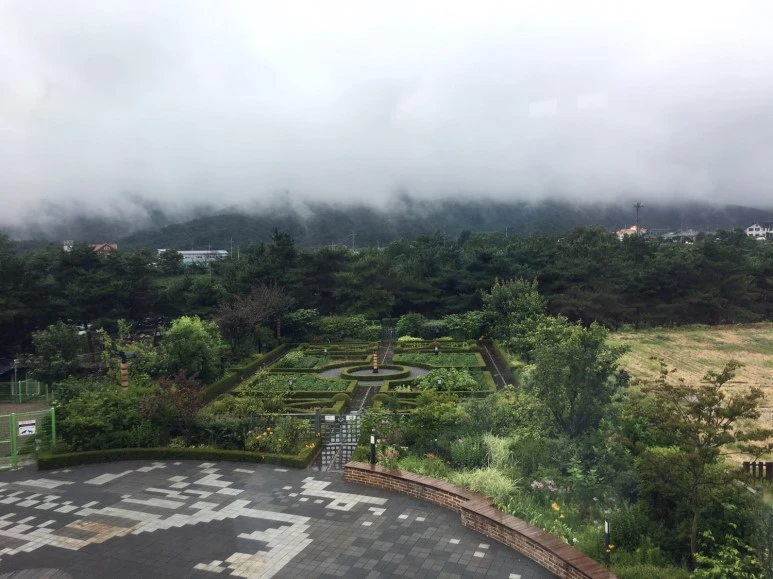 P20180710_121047534_11DDED6C-F7CC-4A73-8ACD-2DA7E8F8D6C0.JPG?type=w773