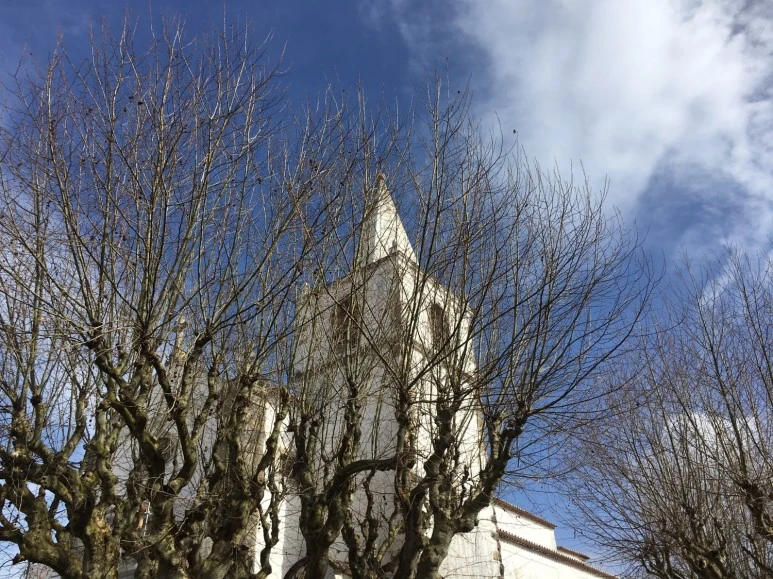 P20190201_120454455_397FA38C-AC60-4591-A7EE-66E3E8963C18.JPG?type=w773