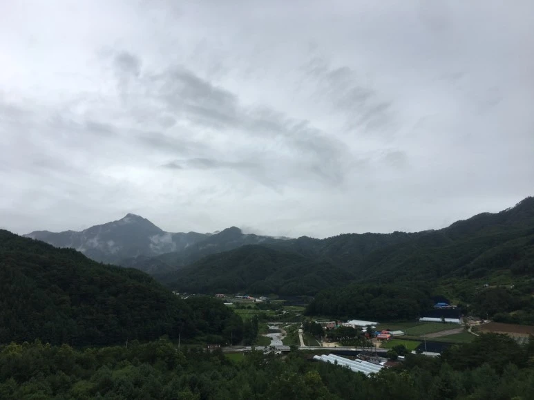 P20180709_110814795_C77BDA6C-152F-4634-8D78-73213353C77B.JPG?type=w773