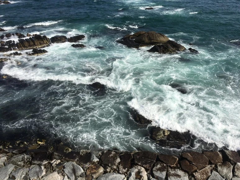 IMG_2819.JPG?type=w773