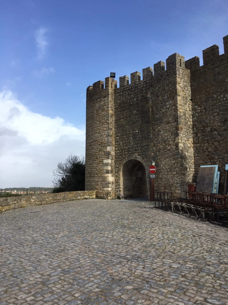 P20190201_124436816_7C39C921-8063-41C7-B483-0E290C0A27DE.JPG?type=w773