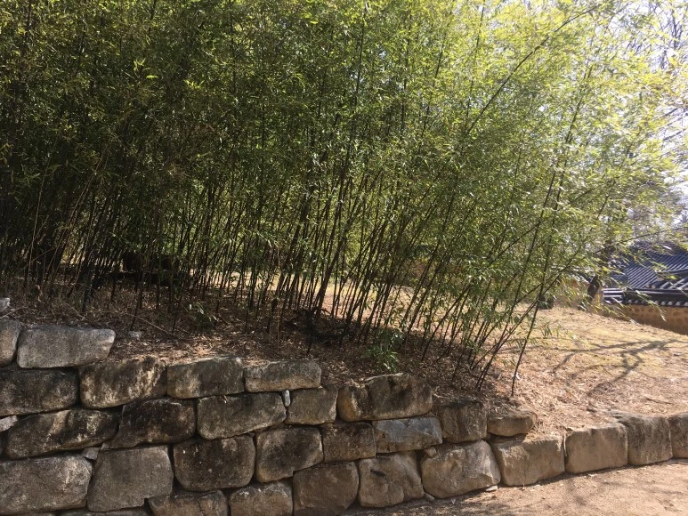 IMG_3048.JPG?type=w773