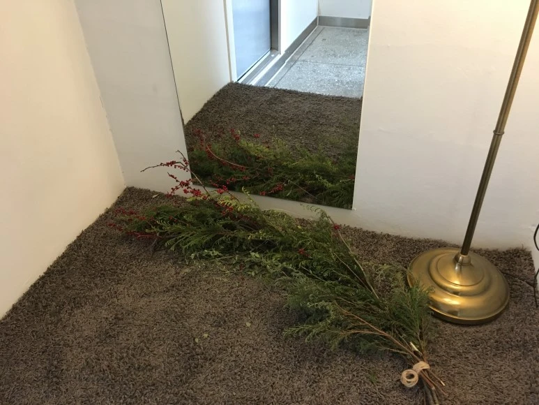 IMG_2549.JPG?type=w773