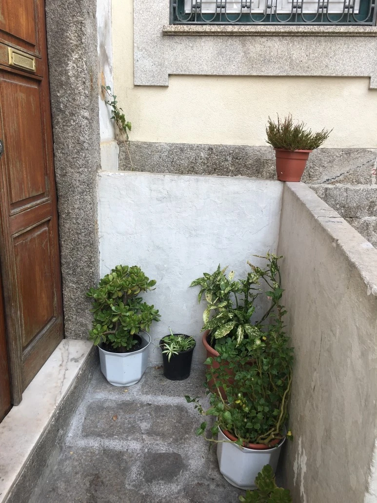 IMG_0043.JPG?type=w773