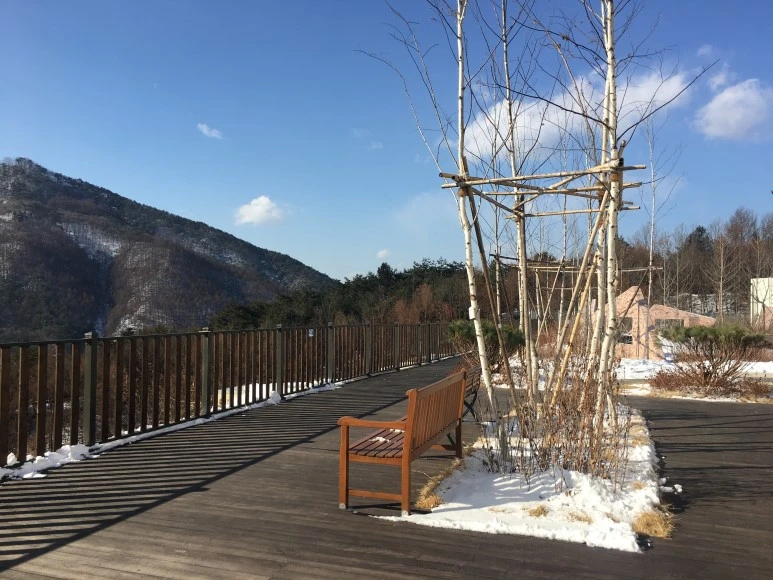 IMG_0528.JPG?type=w773