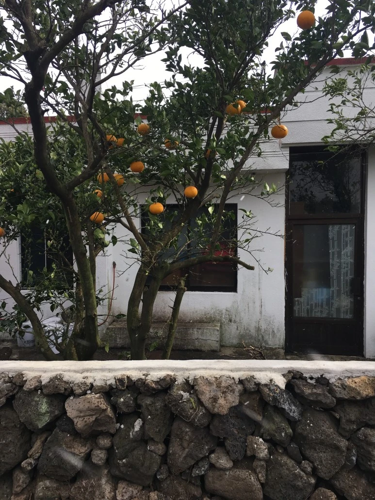 IMG_4416.JPG?type=w773