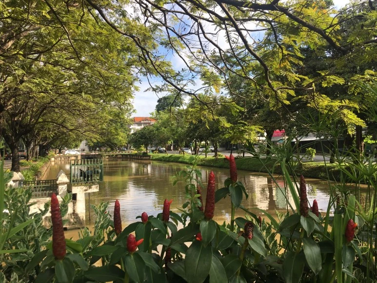 IMG_7313.JPG?type=w773