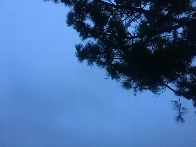 IMG_2388.JPG?type=w773