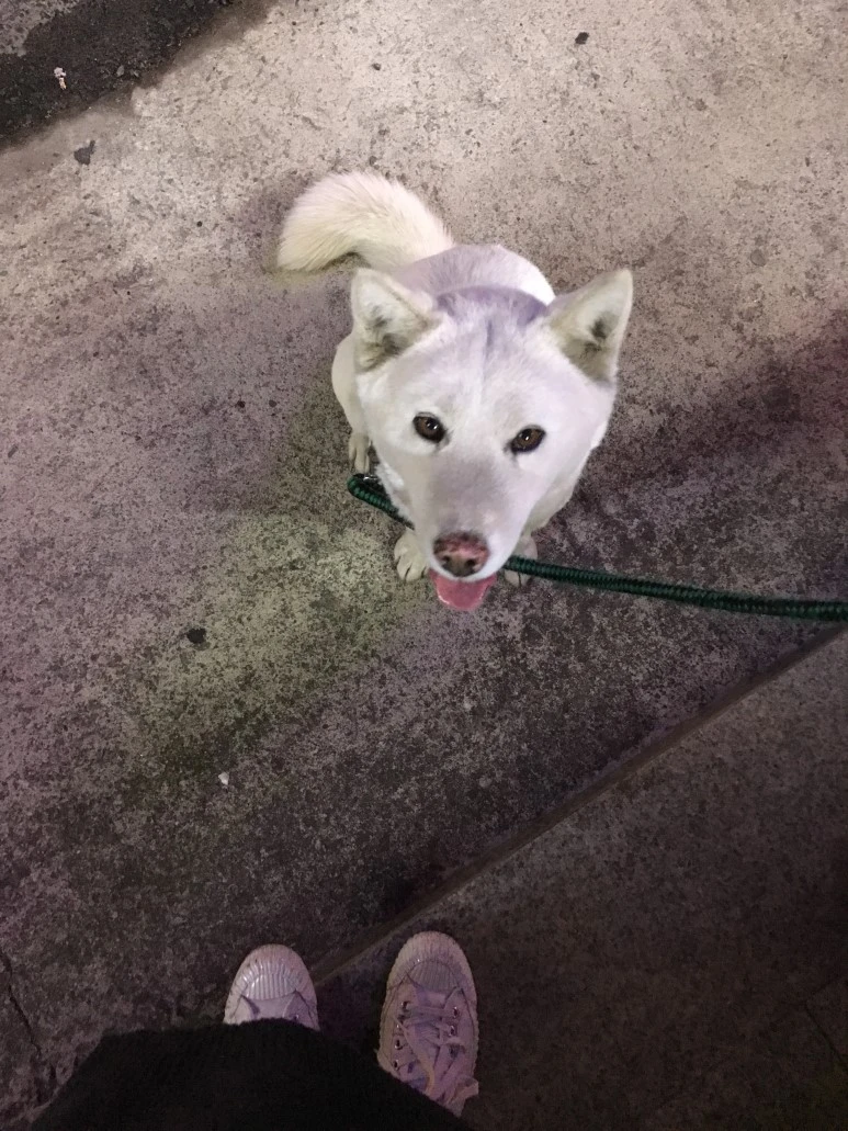 IMG_3225.JPG?type=w773