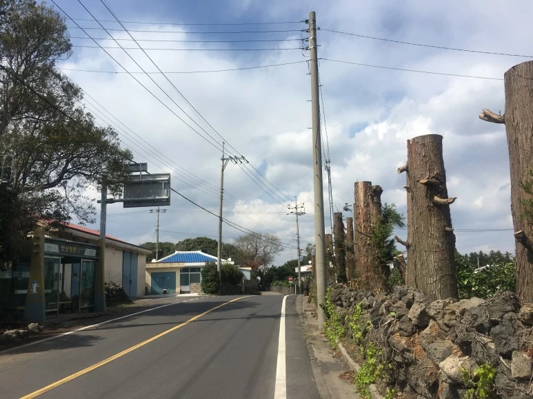 IMG_4328.JPG?type=w773