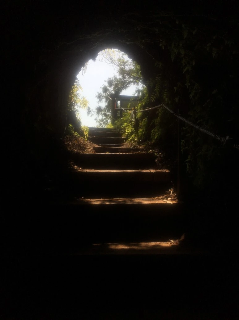 IMG_4730.JPG?type=w773