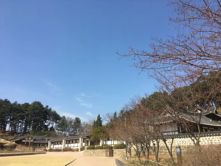 IMG_3004.JPG?type=w773