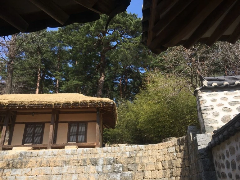 IMG_3040.JPG?type=w773