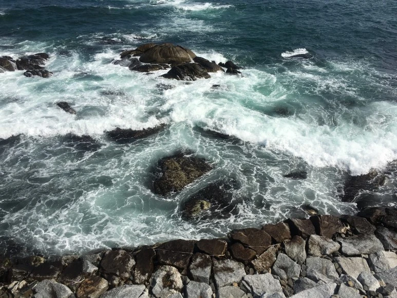 IMG_2816.JPG?type=w773