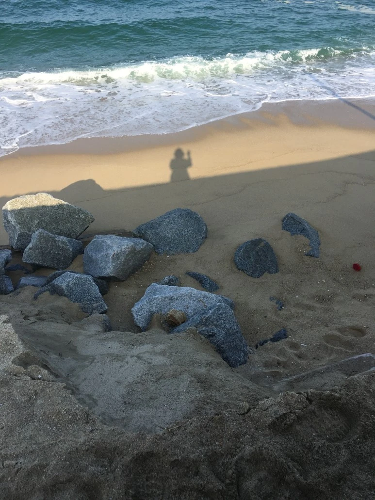 IMG_2920.JPG?type=w773