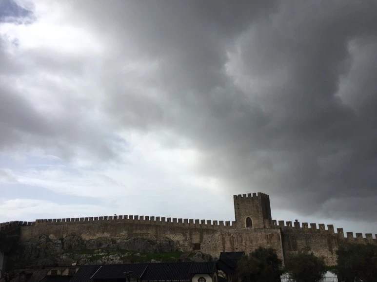 P20190201_124904792_AACC8688-ACFA-40F9-9945-AEB78C91A428.JPG?type=w773