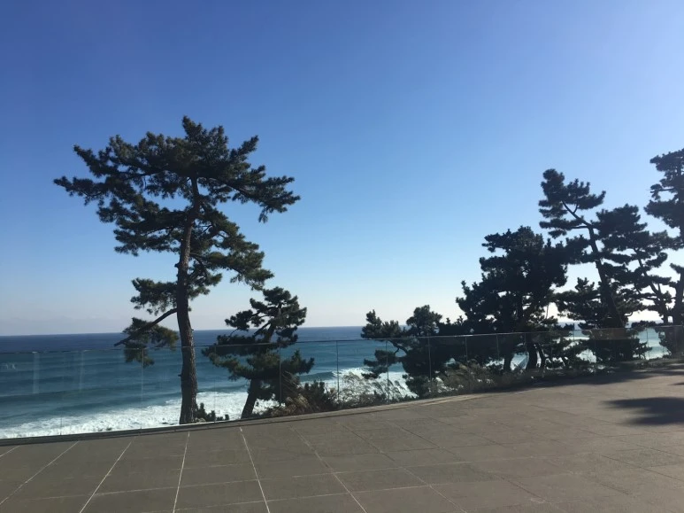 P20180111_104625801_68BE1B9D-ED80-4CCE-B2FB-3692FFD8CBD8.JPG?type=w773