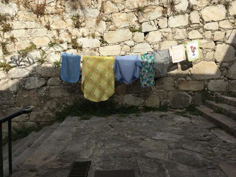 IMG_0045.JPG?type=w773