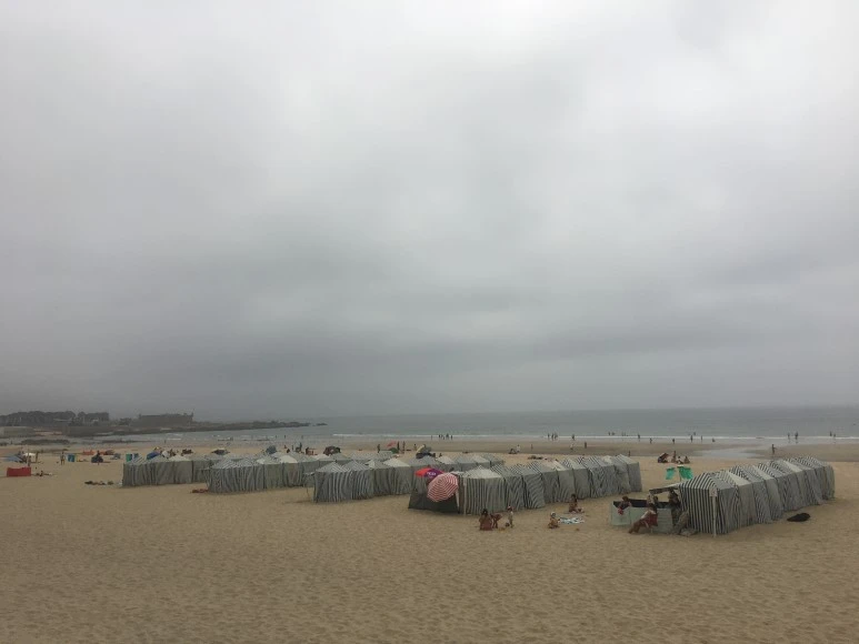 IMG_0102.JPG?type=w773