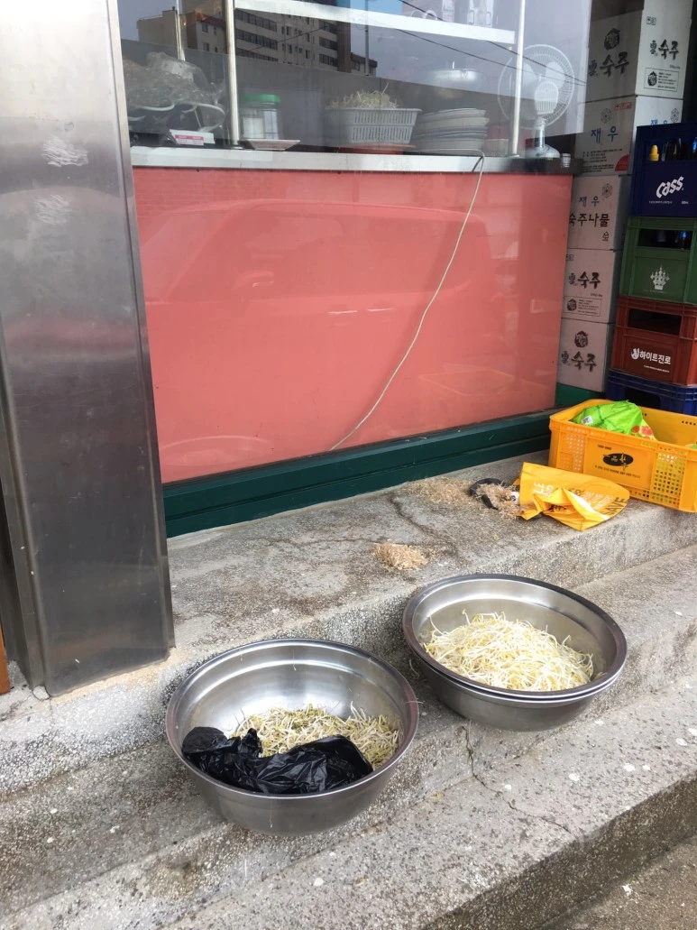 P20180709_131409070_9EA10B50-C7C1-4F49-9852-43D246EE6BC5.JPG?type=w773